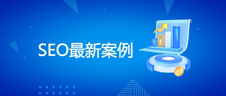 2025年SEO实战案例解析：从策略到落地的完整指南