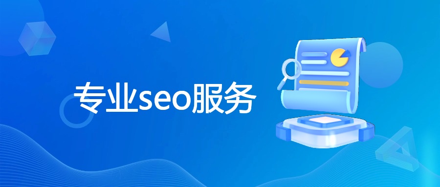 专业seo服务