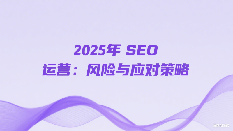 2025SEO 运营风险与应对策略