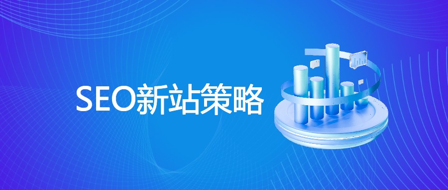 SEO新站策略