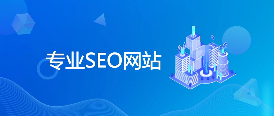 专业SEO网站