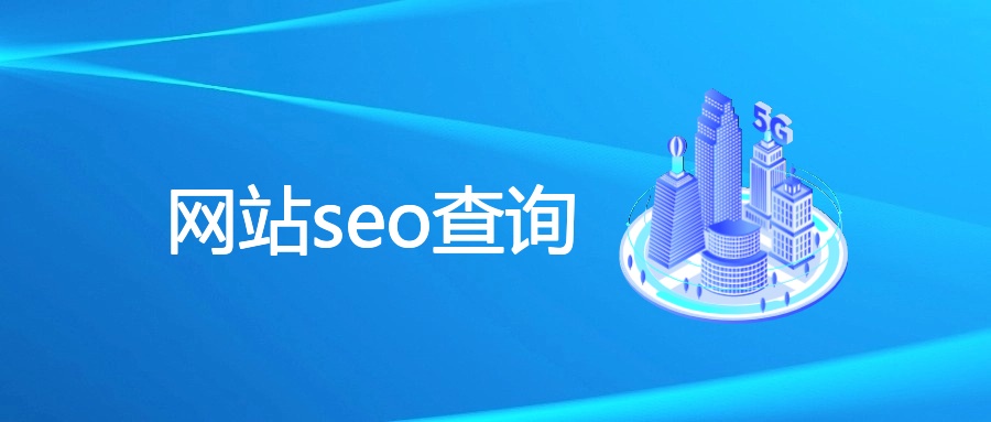 网站seo查询